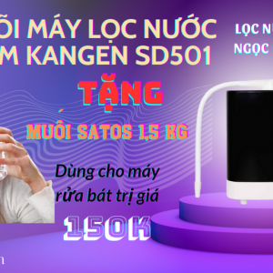 thay loi may loc nuoc ion kiem kangen leveluk sd501
