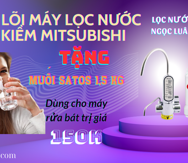 thay loi may loc nuoc ion kiem mitsubishi