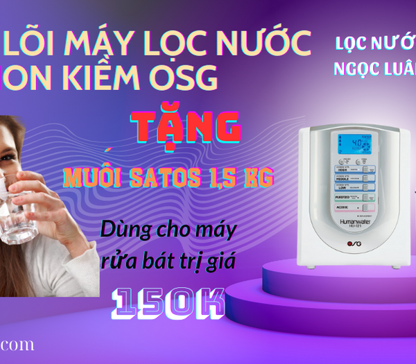 thay loi may loc nuoc ion kiem osg