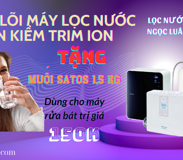 thay loi may loc nuoc ion kiem trim ion