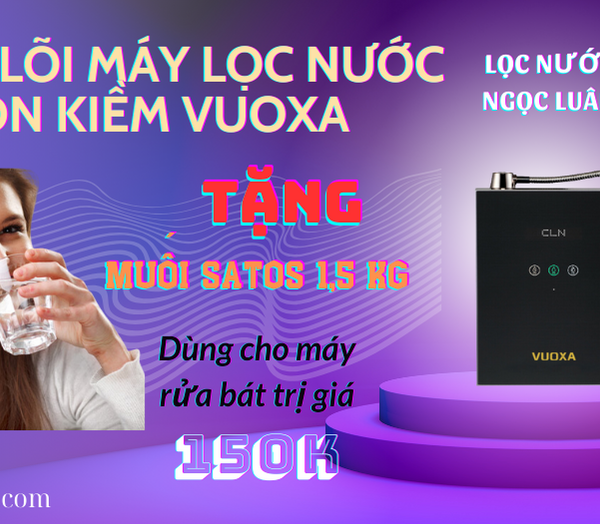 thay loi may loc nuoc ion kiem vuoxa i5000