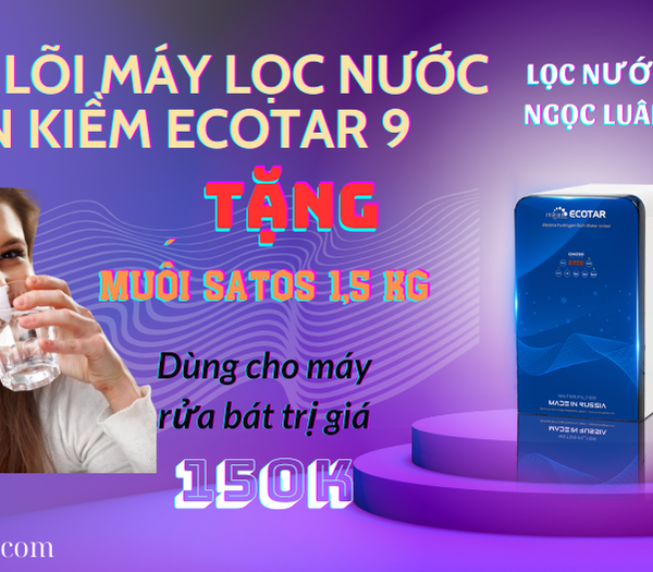 thay loi may loc nuoc ion kiem ecotar 9